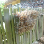 Calf fence hay feeder